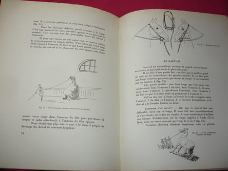 CHEVAL EQUITATION / LA CONQUETE DU CHEVAL Illustré couleur. Y.Benoit-Gironière
