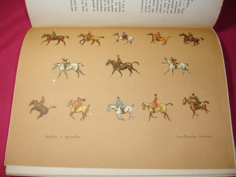 CHEVAL EQUITATION / LA CONQUETE DU CHEVAL Illustré couleur. Y.Benoit-Gironière