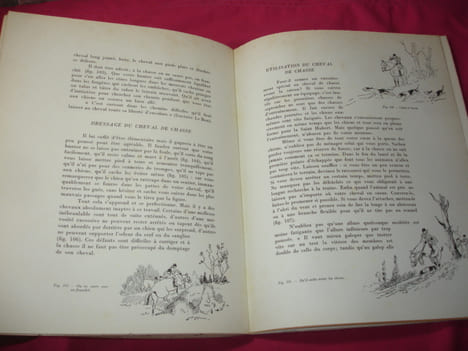 CHEVAL EQUITATION / LA CONQUETE DU CHEVAL Illustré couleur. Y.Benoit-Gironière