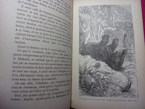 LES GRIMPEURS DE ROCHERS suite du chasseur de plantes. Capitaine Mayne-Reid
