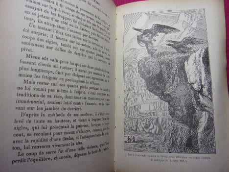 LES GRIMPEURS DE ROCHERS suite du chasseur de plantes. Capitaine Mayne-Reid