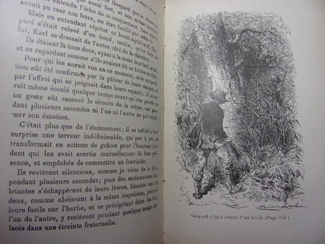 LES GRIMPEURS DE ROCHERS suite du chasseur de plantes. Capitaine Mayne-Reid