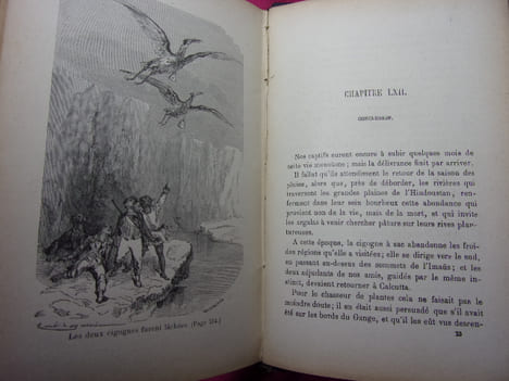 LES GRIMPEURS DE ROCHERS suite du chasseur de plantes. Capitaine Mayne-Reid