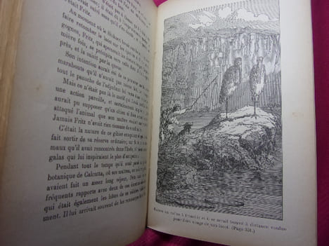 LES GRIMPEURS DE ROCHERS suite du chasseur de plantes. Capitaine Mayne-Reid