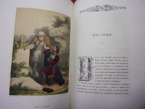 SOUS LES OMBRAGES simples récits. Alfred des Essarts