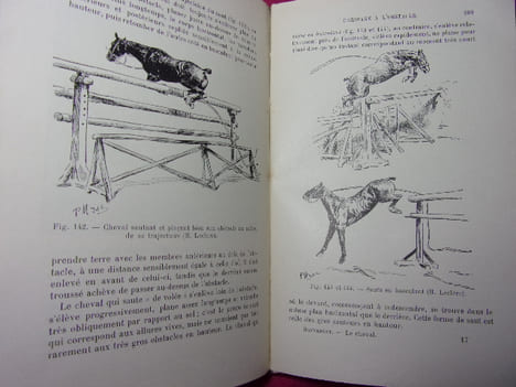 ÉLEVAGE ET DRESSAGE DU CHEVAL. G.Bonnefont
