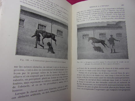 ÉLEVAGE ET DRESSAGE DU CHEVAL. G.Bonnefont