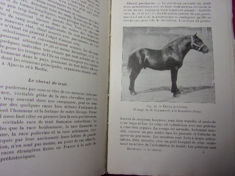 ÉLEVAGE ET DRESSAGE DU CHEVAL. G.Bonnefont