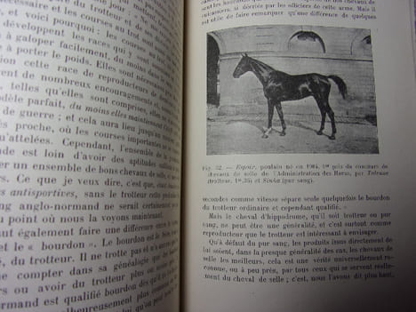 ÉLEVAGE ET DRESSAGE DU CHEVAL. G.Bonnefont