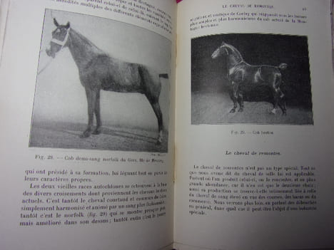 ÉLEVAGE ET DRESSAGE DU CHEVAL. G.Bonnefont