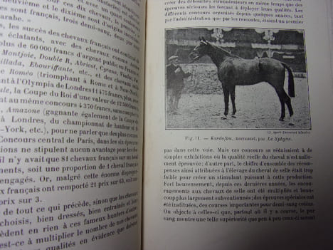 ÉLEVAGE ET DRESSAGE DU CHEVAL. G.Bonnefont