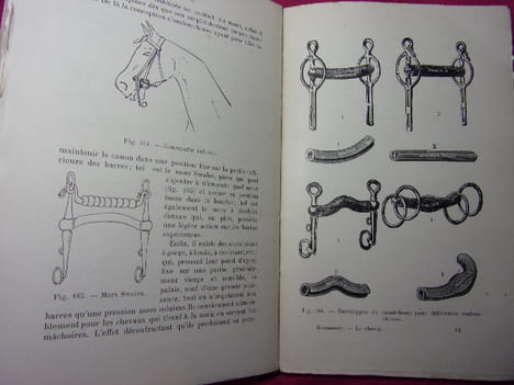 ÉLEVAGE ET DRESSAGE DU CHEVAL. G.Bonnefont