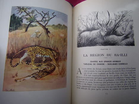 APERÇUS D'AFRIQUE EN QUATRIÈME VITESSE. H.Bottu