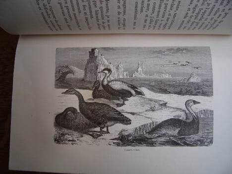 PERDUS DANS LES GLACES. Isaac J.Hayes