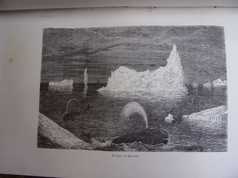 PERDUS DANS LES GLACES. Isaac J.Hayes
