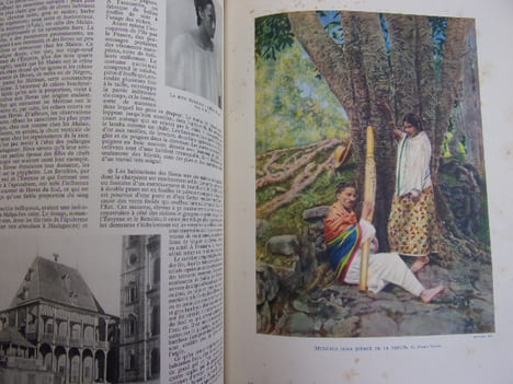 L'HOMME races et coutumes. R. Verneau