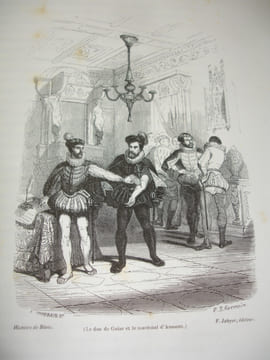 HISTOIRE DE BLOIS ET DE SON TERRITOIRE depuis les temps les plus reculés jusqu'à nos jours. G.Touchard-Lafosse