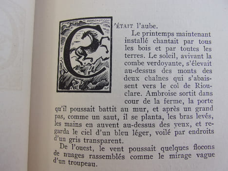 LE CAVALIER DE RIOUCLARE

. Claude BONCOMPAIN