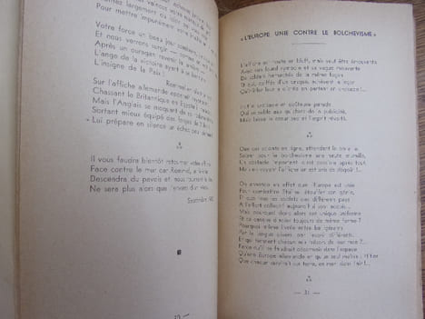 A l'Ombre de la croix gammée. Émile Poiteau des écrivains combattants.