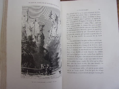 Le Danube Allemand et l'Allemagne du Sud
voyage dans la foret-noire, la Bavière, l'Autriche, la Bohème, la Hongrie, l'Istrie, la Vénétie et le ...