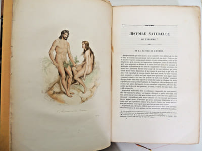 Œuvres de Buffon
avec la nomenclature linnéenne et la classification de Cuvier, revue sur l’édition de l'Imprimerie Royale et annotées par M. Flourens.
