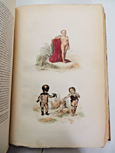 Œuvres de Buffon
avec la nomenclature linnéenne et la classification de Cuvier, revue sur l’édition de l'Imprimerie Royale et annotées par M. Flourens.