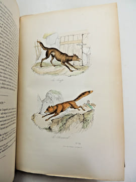Œuvres de Buffon
avec la nomenclature linnéenne et la classification de Cuvier, revue sur l’édition de l'Imprimerie Royale et annotées par M. ...
