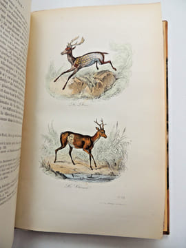 Œuvres de Buffon
avec la nomenclature linnéenne et la classification de Cuvier, revue sur l’édition de l'Imprimerie Royale et annotées par M. ...
