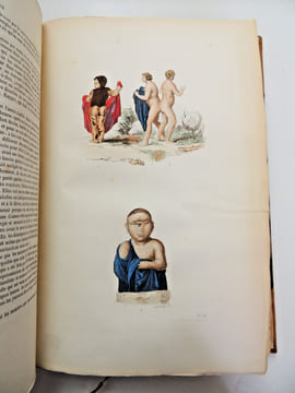 Œuvres de Buffon
avec la nomenclature linnéenne et la classification de Cuvier, revue sur l’édition de l'Imprimerie Royale et annotées par M. ...