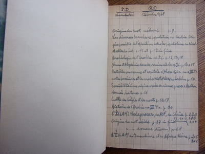 L'Islam