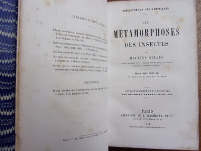 Les métamorphoses des insectes