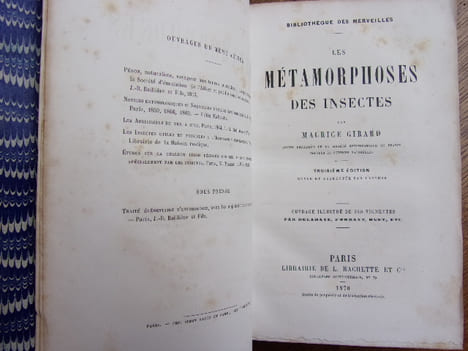 Les métamorphoses des insectes. Maurice Girard