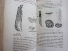 Les métamorphoses des insectes. Maurice Girard