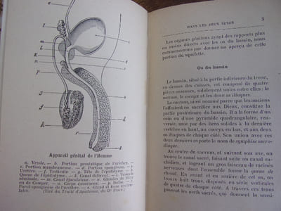 Les maladies intimes dans les deux sexes