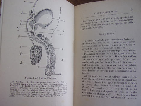 Les maladies intimes dans les deux sexes. Docteur Bienaimé