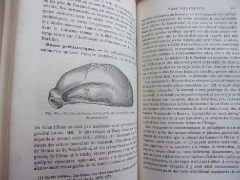 l'Anthropologie. Paul Topinard