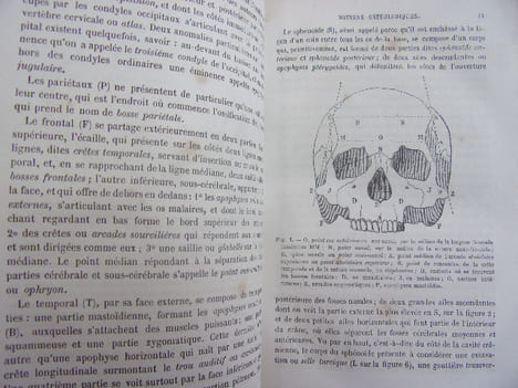 l'Anthropologie. Paul Topinard