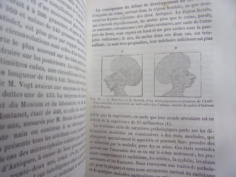 l'Anthropologie. Paul Topinard