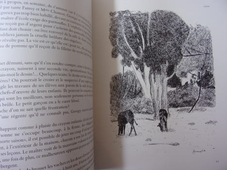 A la rencontre de Georges Borgeaud. Maurice Zermatten