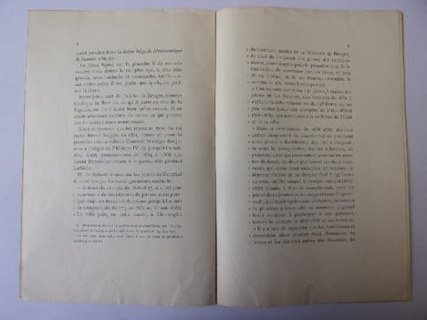 Deux jetons scabinaux Flamands inédits du XVIIIe siècle.
. Alphonse de Witte