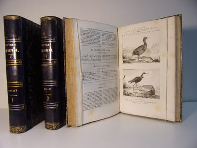 Les Oiseaux 3 volumes