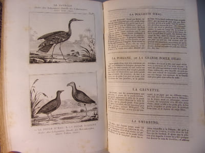 Les Oiseaux 3 volumes