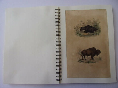  Les Oiseaux & Animaux 50 planches de Buffon 1860
. Œuvres de Buffon