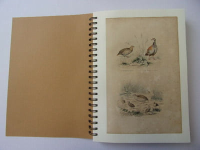 Les Oiseaux & Animaux 50 planches de Buffon 1860