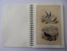  Les Oiseaux & Animaux 50 planches de Buffon 1860
. Œuvres de Buffon