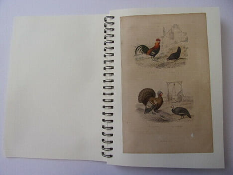  Les Oiseaux & Animaux 50 planches de Buffon 1860
. Œuvres de Buffon