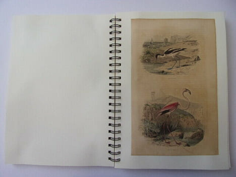  Les Oiseaux & Animaux 50 planches de Buffon 1860
. Œuvres de Buffon