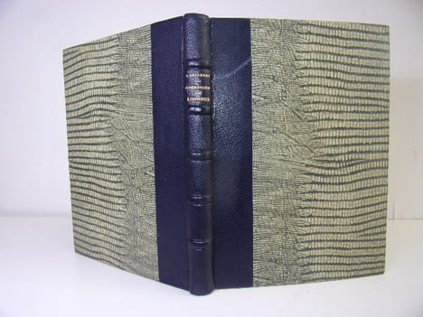 LES GUÉRISONS DE LOURDES. Joseph Belleney