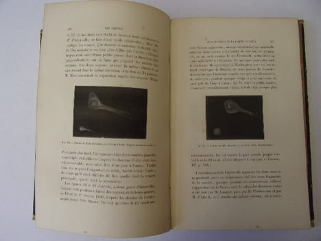 Les Comètes. Amédée Guillemin