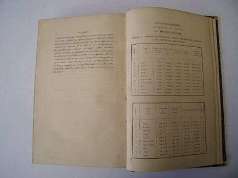 Les Comètes. Amédée Guillemin